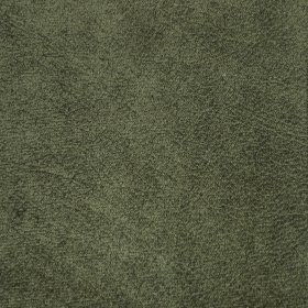 Vzorka poťahu Salvador Sic 10